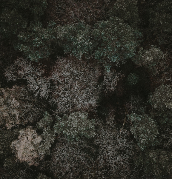 Drone photography